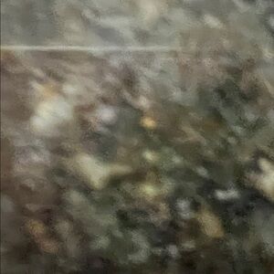 Sold. Kaanas  leather mules Brown Size 8 Boho